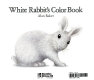 White rabbit's color book